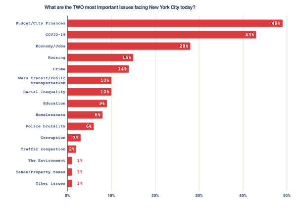 What are the two most important issues facing New York City today?