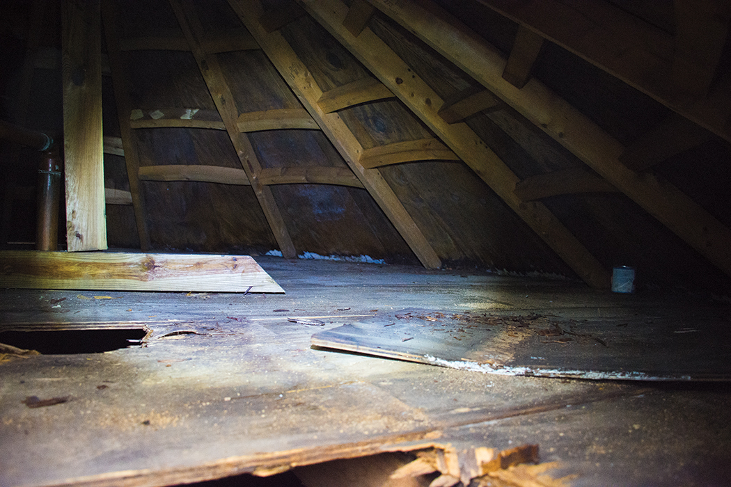 The view inside the neglected drinking water tank Jonathan Lewin cleaned. The crawl space between the cone-shaped roof and flat cover showed signs of decay and animal activity.