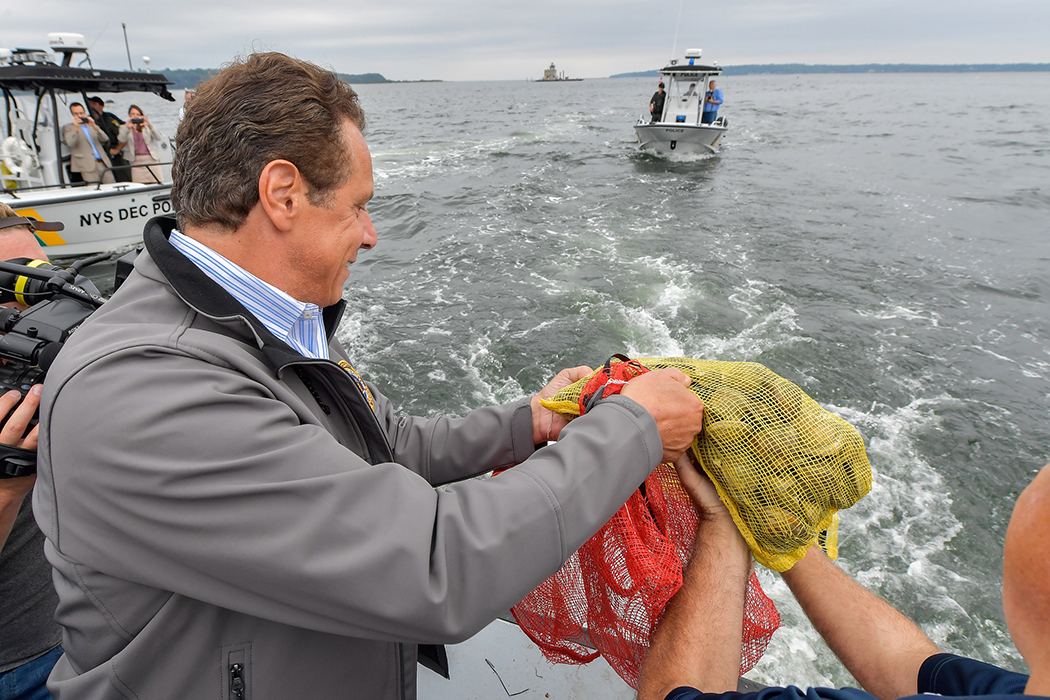 Andrew Cuomo looking at shellfish