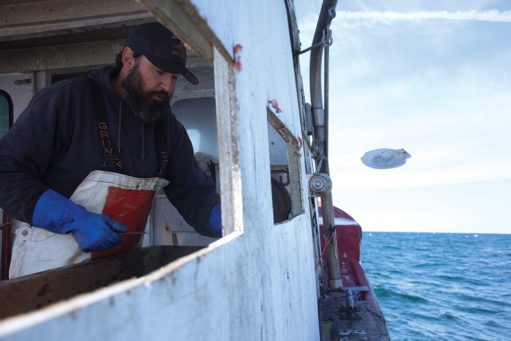 Scallop fisherman Chris Scola throwing a scallop off of a boat in the ocean
