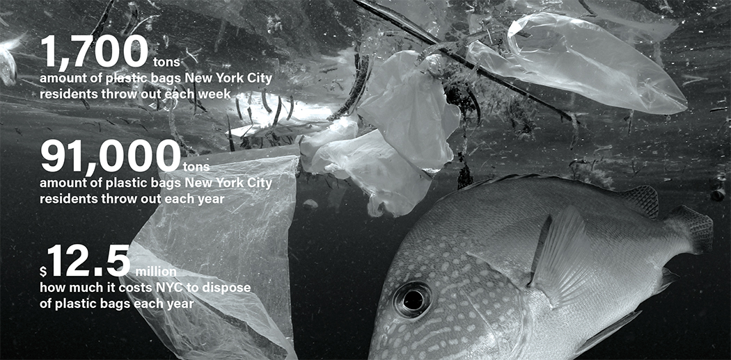 Fish swimming next to plastic bag