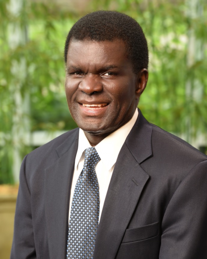 Thomas Isekenegbe Thomas Isekenegbe
