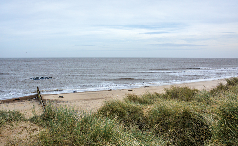 Beach Restoration